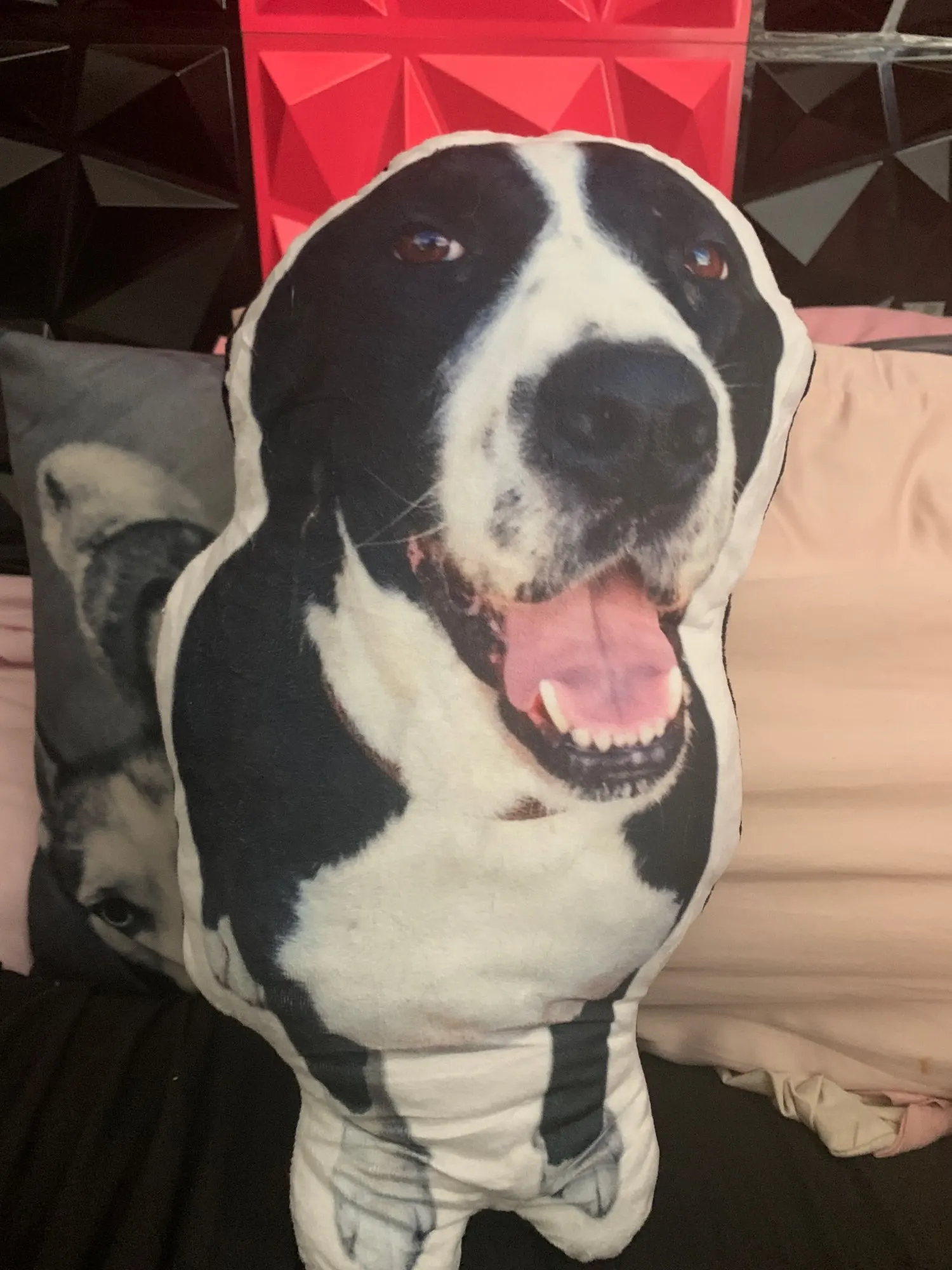 Personalized Pet Shape Pillow Photo customization DIY cushions photo review