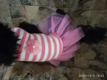 Toy Dog-Chew-Toys Rubber Simulation Puppy Interactive Cleaning Tooth Small 1pc Pawstrip