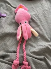 Calamar bonito y pequeño sonido de juguete de perro BB, mascota de peluche, cuerda de perrito, mordedores de juguete con sonido rosa para gato