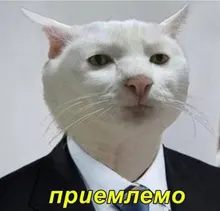 Beach Shorts Swim-Trunks Escatch Quick-Dry Mens Brand Stretch with Zipper-Pockets Mesh