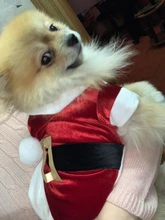 Costume Jackets Yorkie-Outfit Cat-Clothing Puppy Small Dogs Coat Hooded Pet-Dog Winter Dog