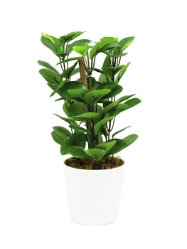 

EUROPALMS Green leaf plant, artificial, 30cm