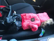 Coat Dogs-Clothing Dot-Pattern Winter Hooded Pet-Dogs New Xl To High-Quality