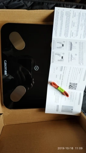 весы gason s4