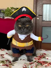 Funny Cat Costumes Pirate Suit Cat Clothes Kitty Kitten Corsair Halloween Costume Puppy