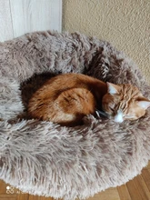 Cama de Gato supersuave, 14 colores, redonda, mullidas de gato, cesta para dormir, larga felpa, cálida, alfombrilla para mascotas, perrera ligera de tacto cómodo