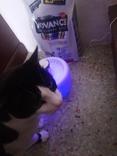 Bowl Cat-Fountain Water-Dispenser Pet-Dog Electric Automatic USB Mute