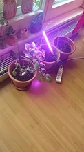 Grow-Light Phyto-Lamp Greenhouse-Vegetable-Seedling-Plant-Lighting USB Full-Spectrum