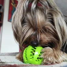 5/7/11cm Juguetes para perros Extra-caucho resistente juguete para saltar pelota elástica interactiva mordedores de juguete para perros para limpieza de dientes de perro tratar bola
