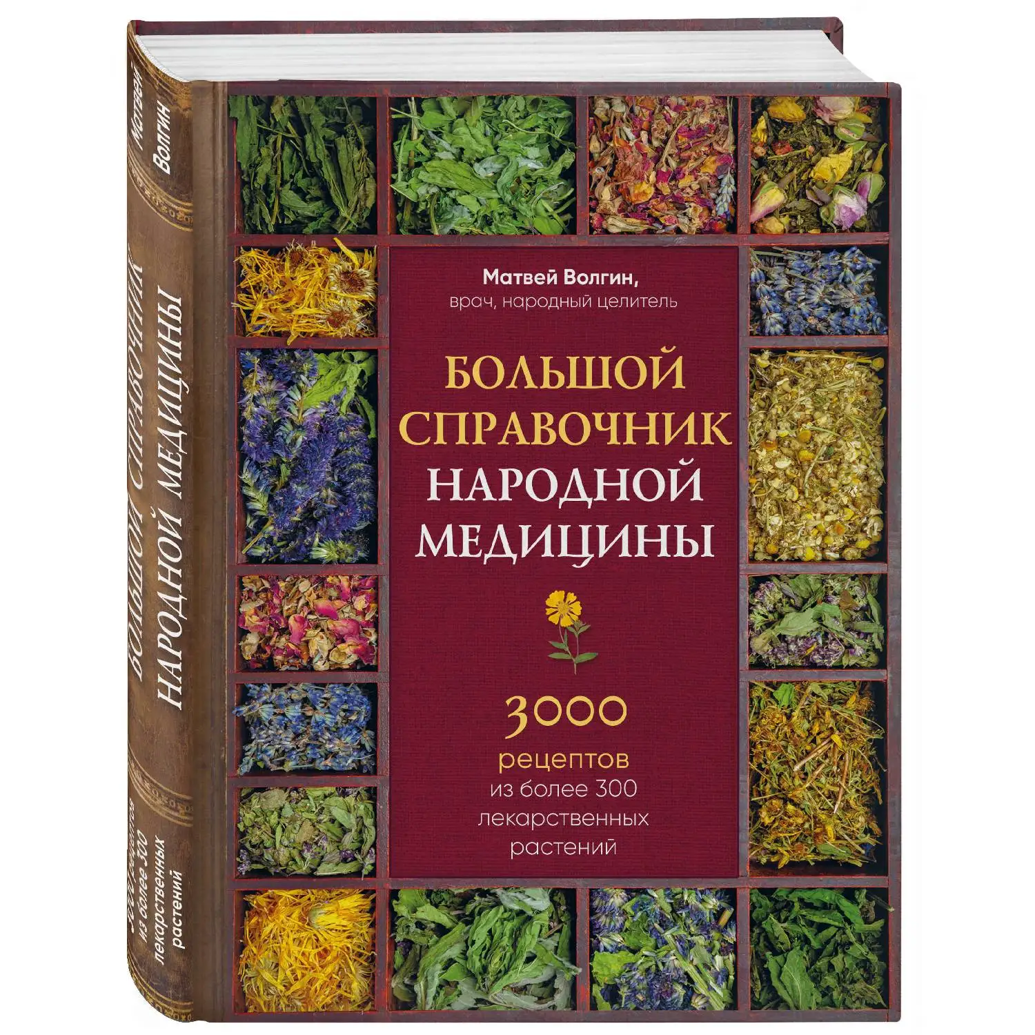 Большой справочник народной медицины. 3000 рецептов из более 300 лекарственных растений. Матвей Волгин