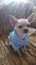 Dog-Hoodie Jacket Coat Pets-Clothing Puppy Warm Dog Small-Dogs Winter Cheap for Ropa-Perro