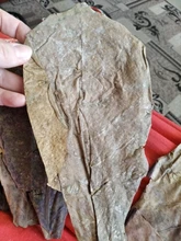 Betta Fish Shrimp Aquarium Almond-Leaves Natural Indian 10pcs Habitat Terminalia Kill-Bacteria