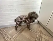 Jacket Clothing Puppy Small Dogs Waterproof Winter Overalls Pet-Coat Dog-Jumpsuit Fleece