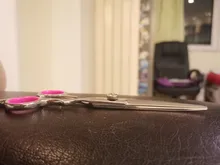 Tijeras de acero inoxidable para peluquería de perros de compañía, 6 pulgadas, curvas, con bordes afilados, para cortar el pelo de animales y gatos, para peluquero