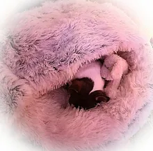 Cat Bed Cushion House Sofa Pet-Bed Small Plush Round Warm Best Soft for Dogs Nest