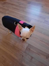 Coat Jacket Puppy-Vest Dogs Waterproof Winter Medium Pet-Dog Zipper Small Large Warm