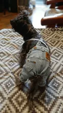 Jeans Clothing Jacket Coat Dog-Costume Puppy Dogs Small Denim Pet Medium for Chihuahua