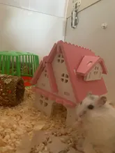 Sleeping-House Hamster Nest Animal-Supplies Small Luxury Home Cage Pet Wooden Hideout