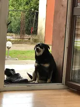 Bufanda mágica multifuncional para deportes al aire libre, calentador de cuello, tubo para senderismo, Cara de ciclista, envoltura para la cabeza, Bandana, cinta pasamontañas, 2020