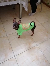 Camiseta transpirable de verano para perro, chaleco de dibujos animados para mascota, disfraces de Bulldog Francés, Chihuahua, abrigo para perro pequeño y mediano