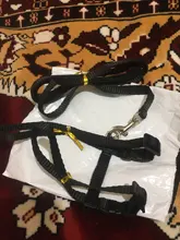 Pet Cat Collar Harness And Leash Adjustable Nylon Pet Traction Dog Kitten Halter Collar