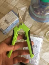Tijeras de podar de acero inoxidable para jardín, para recoger frutas, para el hogar, en maceta, ramas de marihuana, tijeras pequeñas, herramientas de jardinería