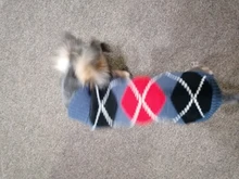 Sweater Bulldog-Outfit Chihuahua-Coat Knitted French Winter Dogs Warm for Small Pug-Clothing