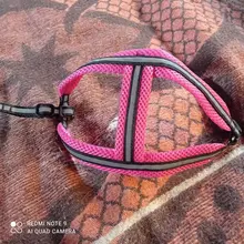 Cat Harness Vest Pet-Products Collar Dogs-Leash Reflective Small Dog Night-Walking Puppy