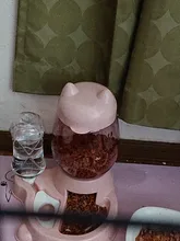 pets Automatic water Feeder for Cat Dog Drinking Bowl Pet Food Dispenser Bottle Practical