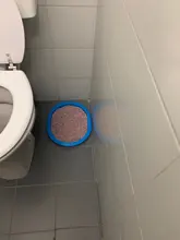 Cat Toilet Litter-Trainer Toilet-Seat-Lighting Catsceaningtrainingtoilet-Supplies 