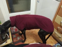 Clothing Pullovers Pet-Coat Pitbull Dogs High-Collar Winter Mascotas Large Medium Big