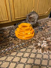3 Levels Pet Cat Toy Funny Tower Tracks Disc Cat Tracks Toys Training Intelligence Amusement