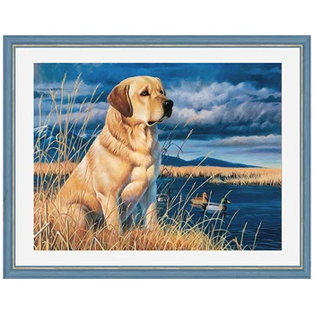 

Аж-1681 painting with rhinestones 'Labrador for hunting '40*30 cm