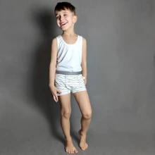 Ropa interior de algodón para niños, pantalones cortos de dibujos animados, bragas para bebés, bóxers a rayas, HH, 3 piezas