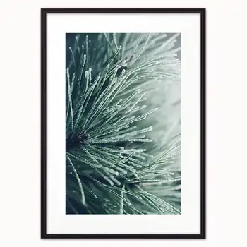 

Poster in the frame of Pine