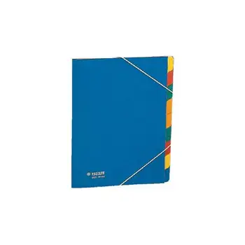 

Rainbow folder card stock 7 divisoESSELTE10.17