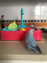 Alimentador de aves automático, bañera de loro, grifo de piscina, ducha de baño de loros, dispensador de agua, jaula de pájaro, baño, juguetes de loros