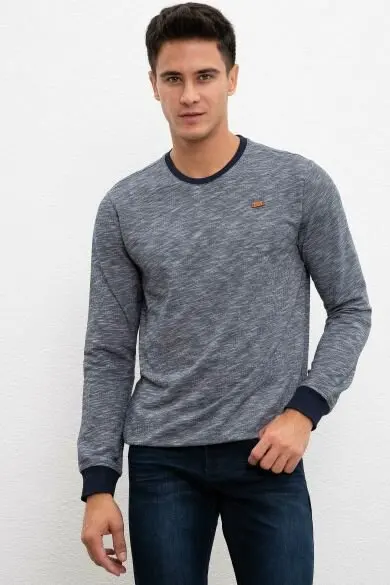 U.S. POLO ASSN. Обычные толстовки