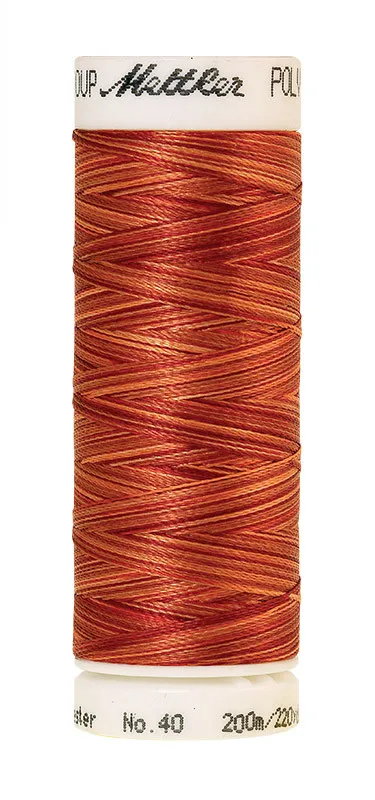 Нить для вышивания мультиколор POLY SHEEN MULTI METTLER, цвет 9934, 200 м