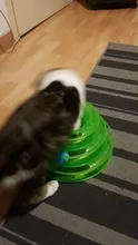 Ball Tower-Tracks-Disc Amusement-Plate Cat-Toys Cat Intelligence Training Three-Levels