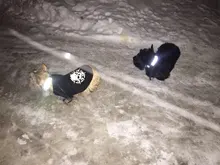 Glowing Collar Reflective Night-Safety Rechargeable Luminous Adjustable Nylon Waterproof