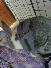 Arnés pequeño de conejo para mascota, chaleco transpirable ajustable con correa para el pecho, para exteriores, con cuerda de tirar, S/M/L, novedad de 2020