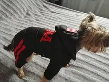 Jumpsuit Clothing Hoodies Jacket Pet-Dog-Coats Small Dogs Sport Apparel Winter Fashion