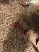 4 unids/set de algodón lindo caucho zapatos para perros impermeable antideslizante perro lluvia botas de nieve calcetines para perros grandes pequeños perros, gatos,