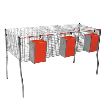 

Gomez and Crespo. Economic rabbit cage 5 with 1 floor and 3 departments. Drinker to choose from a hunter and pacifier