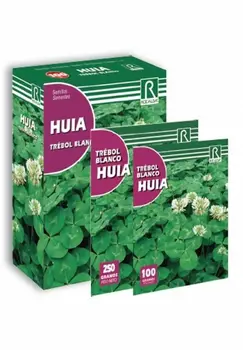 

White dwarf tree seed HUIA