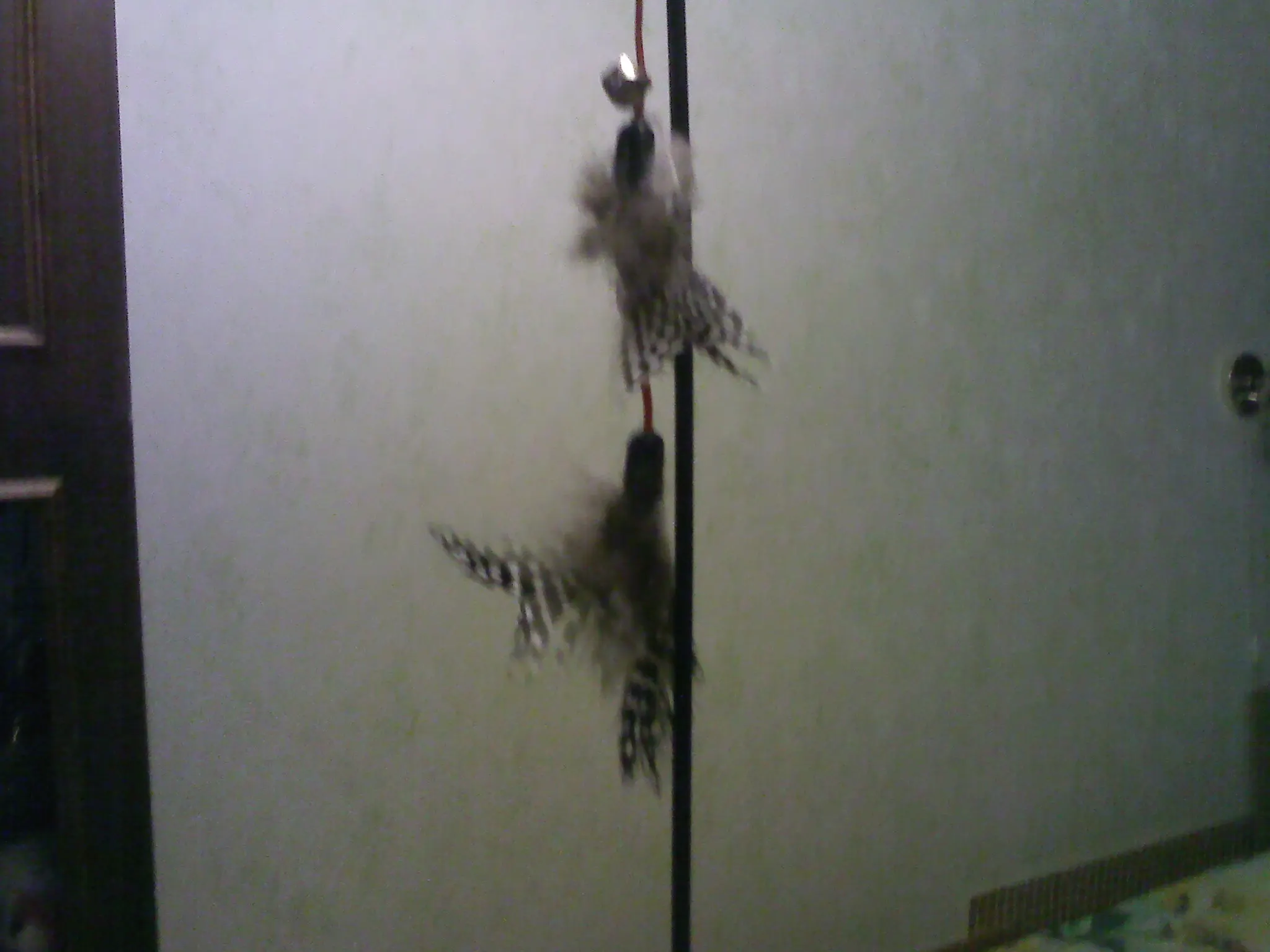 3 sztuk kot domowy Teaser zabawki różdżka z piórami Cat Catcher Teaser  Stick interaktywne zabawki dla kota Wood Rod zabawka z mały dzwonek dla  kotów Kitten tanie i dobre opinie