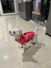 Ropa de invierno para mascotas ropa para perros, abrigo, chaqueta, traje para perros, chaleco para mascotas, ropa de Chihuahua, chaqueta, ropa para perros