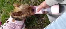 Botella de agua portátil para perros, alimentador de agua potable para mascotas, tazón de viaje al aire libre, cuencos para mascotas
