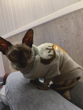 Fashion Pattern Clothes for Cats Cute Reindeer Sweater for Sphinx Cat Winter Warm Costume